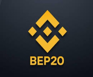 BEP-20